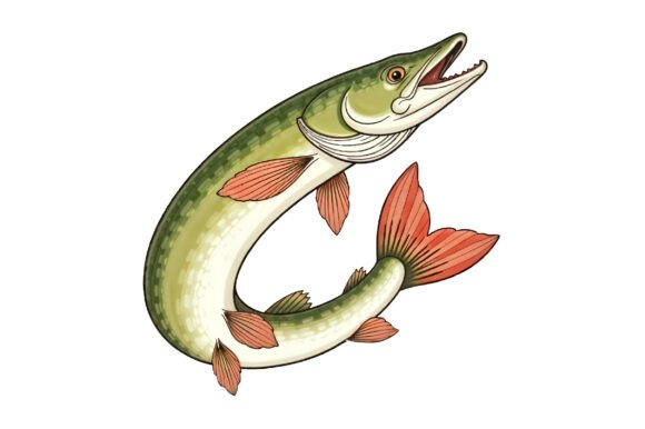 Download Pike Fish Illustration PNG Sublimation - Fish illustration Collection
