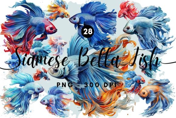 Download Siamese Betta Fish Illustration Clipart - Premium Resources